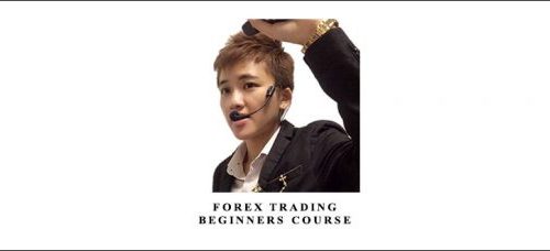 Karen Foo – Forex Trading – Beginners Course