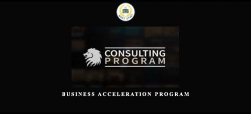 Lion Zeal – Consulting Program