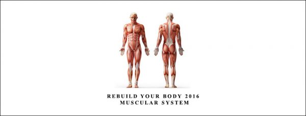 Rebuild Your Body 2016 – Muscular System