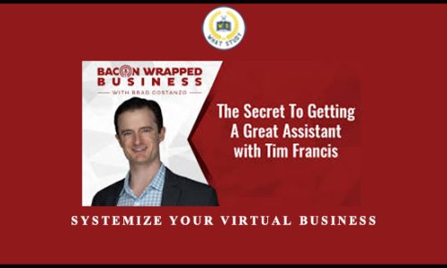 Systemize Your Virtual Business from Tim Francis