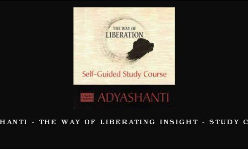 Adyashanti – The way of Liberating Insight – Study Course