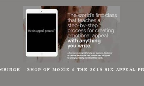 Ash Ambirge – Shop of Moxie – The 2015 Six Appeal Process