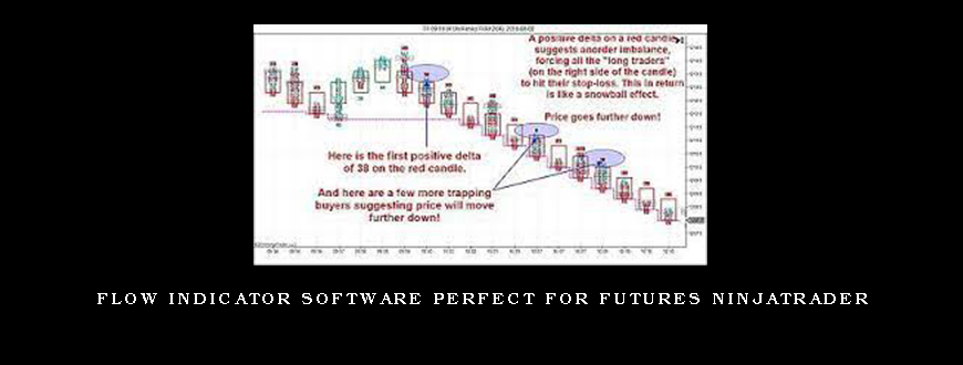 Flow Indicator Software Perfect for Futures Ninjatrader