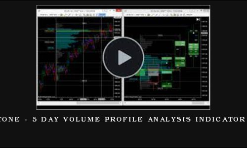 Mark Stone – 5 Day Volume Profile Analysis Indicator Course