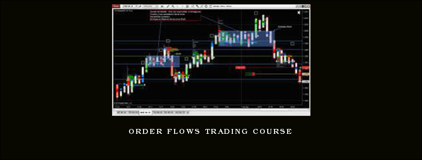 Order Flows Trading Course