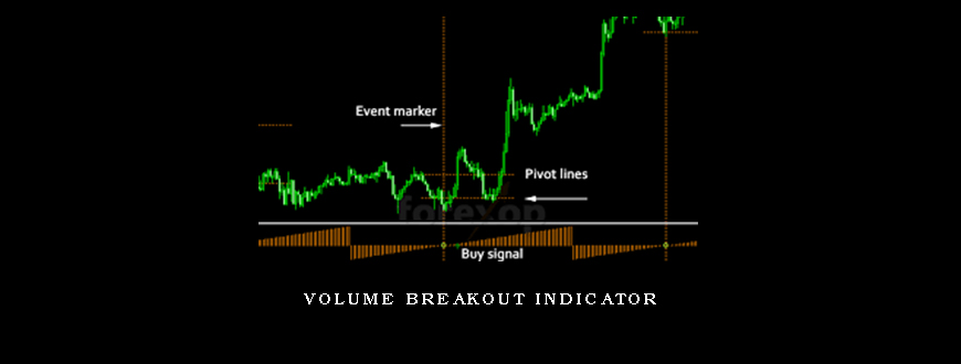 Volume Breakout Indicator