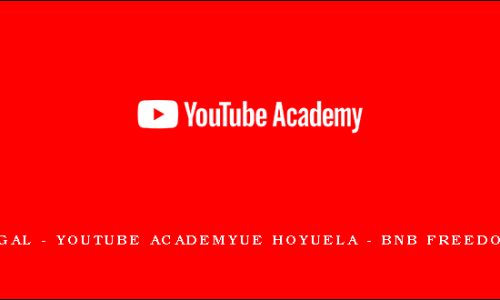 Anik Singal – YouTube Academy