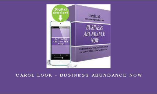 Carol Look – Business Abundance Now