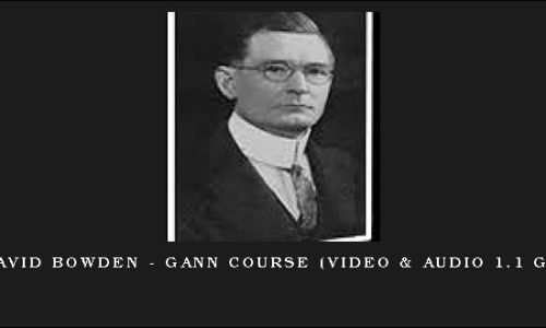 David Bowden – Gann Course (Video & Audio 1.1 GB)