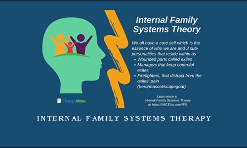 Internal Family Systems Therapy