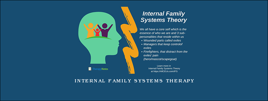 Internal Family Systems Therapy