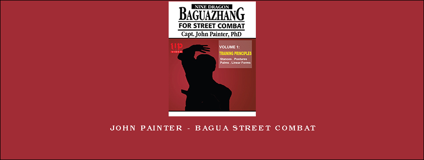 John Painter – Bagua Street Combat