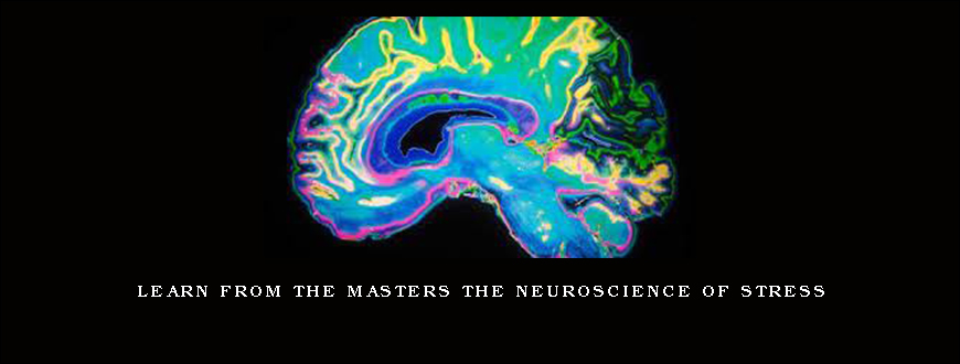 Learn from the Masters The Neuroscience of Stress