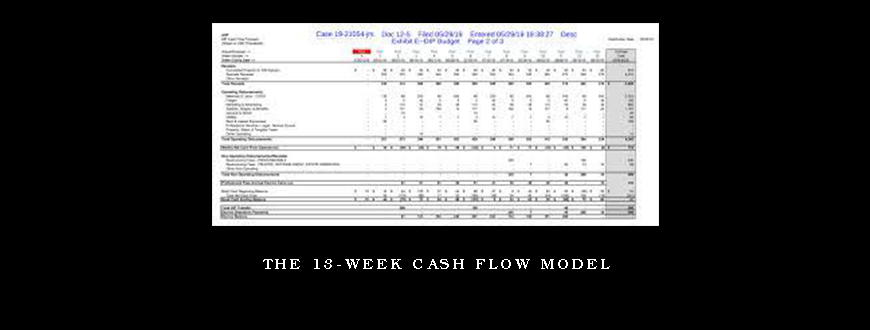 The 13-Week Cash Flow Model