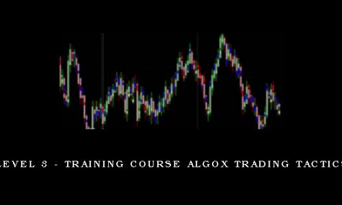 Level 3 – Training Course AlgoX Trading Tactics