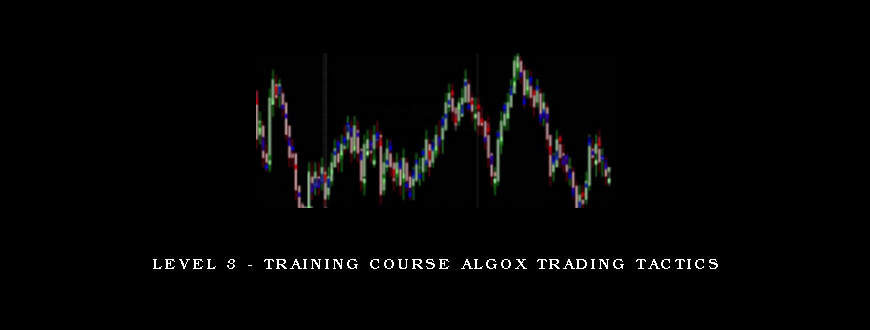 Level 3 – Training Course AlgoX Trading Tactics