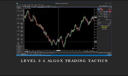 Level 3 – AlgoX Trading Tactics