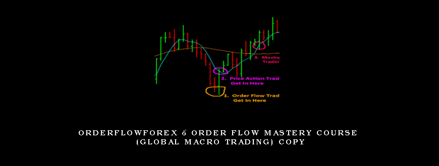 Orderflowforex – Order Flow Mastery Course (Global Macro Trading) Copy