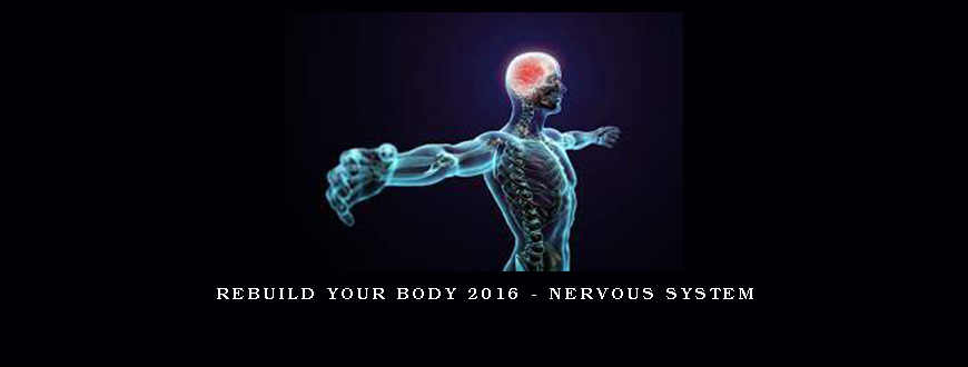 Rebuild Your Body 2016 – Nervous System