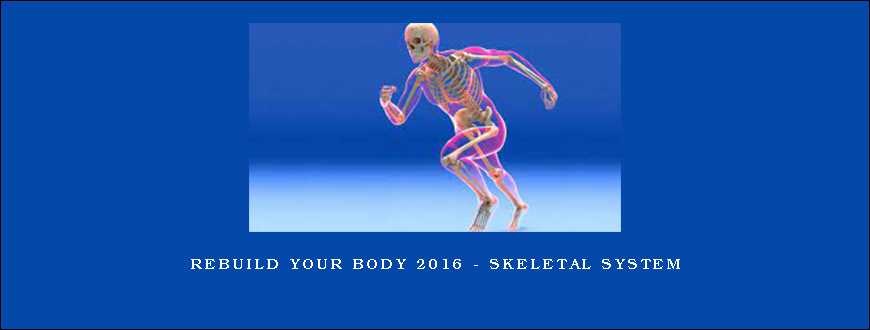 Rebuild Your Body 2016 – Skeletal System