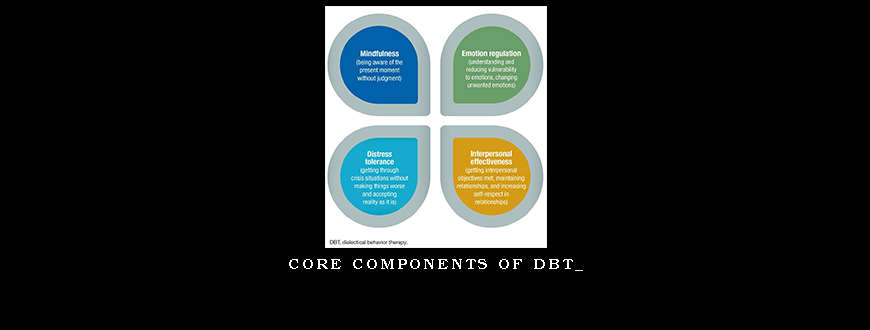 Core Components of DBT_