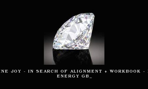 Jacqueline Joy – In Search of Alignment + Workbook – Diamond Energy GB_