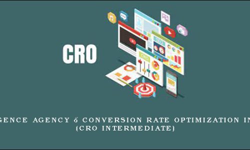 SEO Intelligence Agency – Conversion Rate Optimization Intermediate (CRO Intermediate)