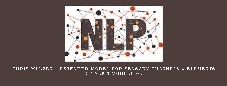 Chris Mulzer – Extended Model for Sensory Channels – Elements of NLP – Module 02