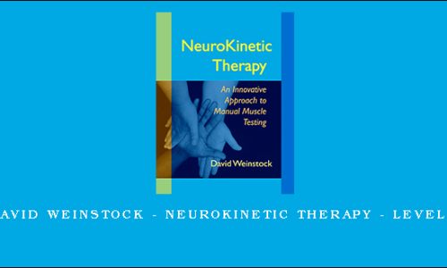 David Weinstock – NeuroKinetic Therapy – Level 1