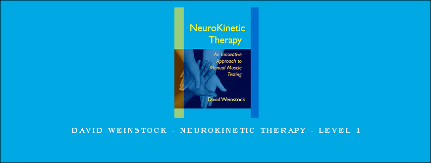 David Weinstock – NeuroKinetic Therapy – Level 1