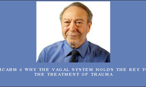 NICABM – Why the Vagal System Holds the Key to the Treatment of Trauma