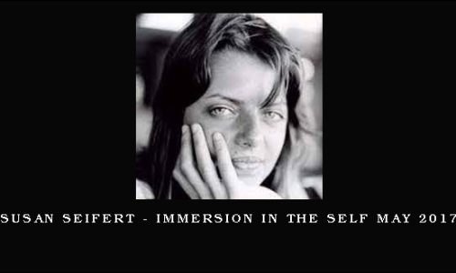 Susan Seifert – Immersion in the Self May 2017