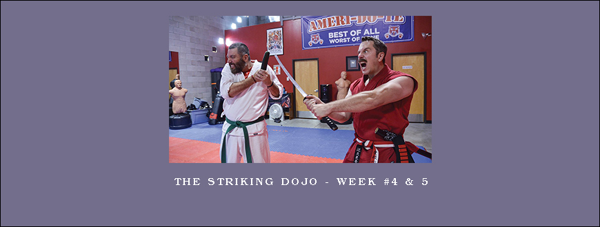 The Striking Dojo – Week #4 & 5