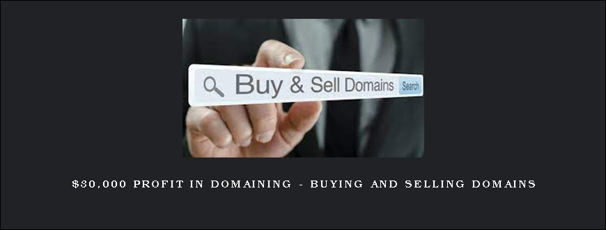 $30,000 profit in Domaining – Buying and selling Domains