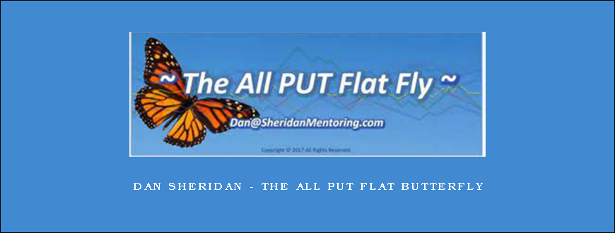 Dan Sheridan – THE ALL PUT FLAT BUTTERFLY