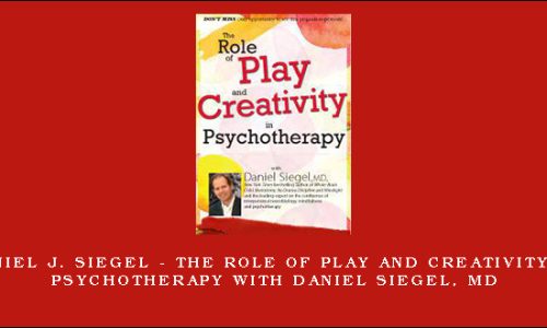 Daniel J. Siegel – The Role of Play and Creativity in Psychotherapy with Daniel Siegel, MD