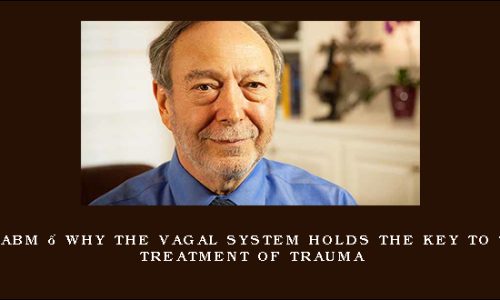 NICABM – Why the Vagal System Holds the Key to the Treatment of Trauma