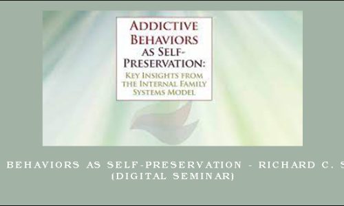 Addictive Behaviors as Self-Preservation – RICHARD C. SCHWARTZ (Digital Seminar)