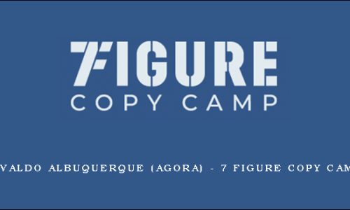 Evaldo Albuquerque (Agora) – 7 Figure Copy Camp