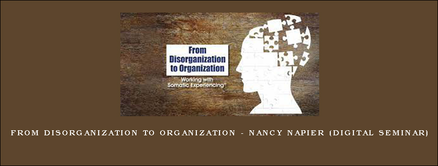 From Disorganization to Organization – NANCY NAPIER (Digital Seminar)