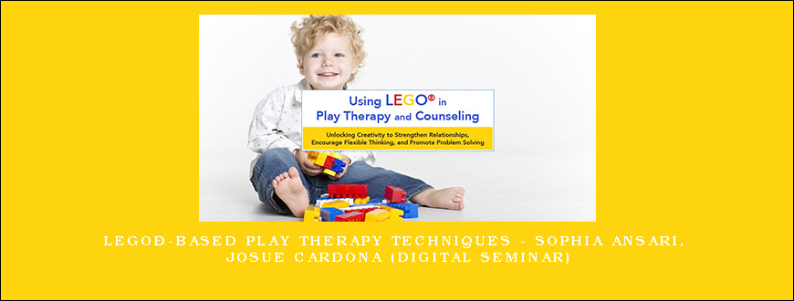 LEGO®-Based Play Therapy Techniques – SOPHIA ANSARI, JOSUE CARDONA (Digital Seminar)