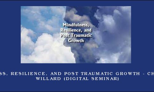 Mindfulness, Resilience, and Post Traumatic Growth – CHRISTOPHER WILLARD (Digital Seminar)