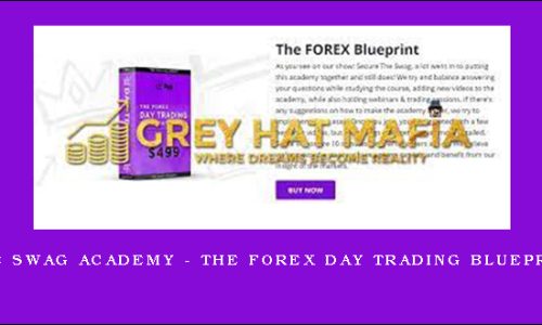 The Swag Academy – The FOREX Day Trading Blueprint