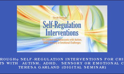 “Break Through” Self-Regulation Interventions for Children and Adolescents with Autism, ADHD, Sensory or Emotional Challenges – TERESA GARLAND (Digital Seminar)