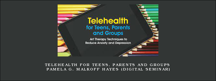 Telehealth for Teens, Parents and Groups – PAMELA G. MALKOFF HAYES (Digital Seminar)