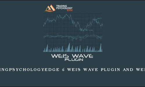 Tradingpsychologyedge – Weis Wave Plugin and Webinar