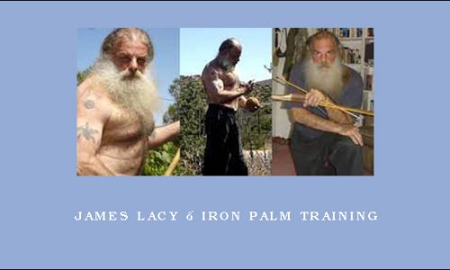 James Lacy – Iron Palm Training