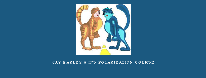 Jay Earley – IFS Polarization Course