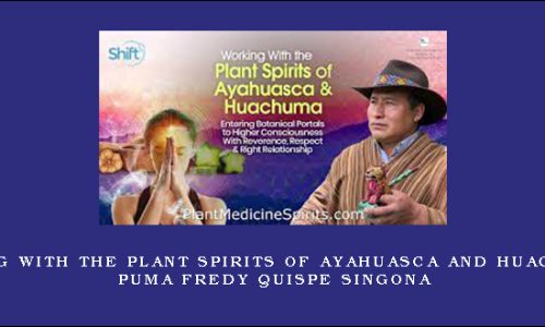 Working With the Plant Spirits of Ayahuasca and Huachuma – Puma Fredy Quispe Singona