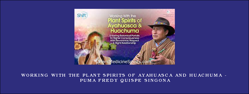 Working With the Plant Spirits of Ayahuasca and Huachuma – Puma Fredy Quispe Singona